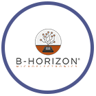 logo-b-horizon-light