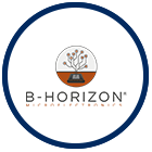 b-horizon Logo